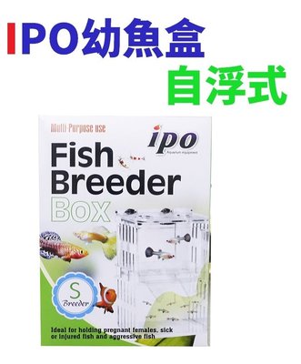 【北高雄】IPO幼魚盒（自浮式）S 隔離箱 隔離盒 產卵盒 產卵箱 飼育箱