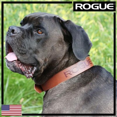 ROGUE LEATHER DOG COLLAR 美國製造 俠盜皮革狗狗項圈-黑 / 棕二色可選（M）