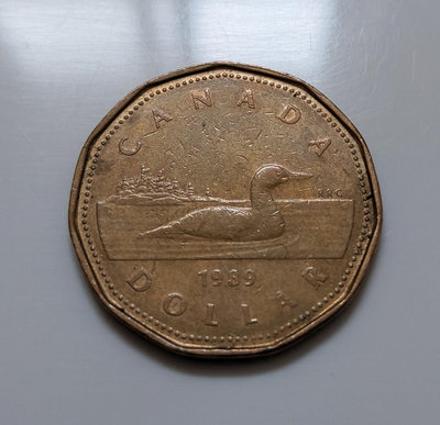 1989 年 美國 CANADA 加拿大 伊莉莎白 二世 ELIZABETH II 1 元 硬幣 DOLLAR 錢幣