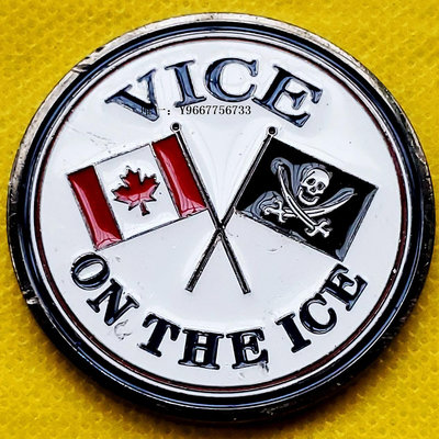 銀幣外國章 雙旗 VICE 彩色紀念大銅章44mm厚3mm精美浮雕收藏品