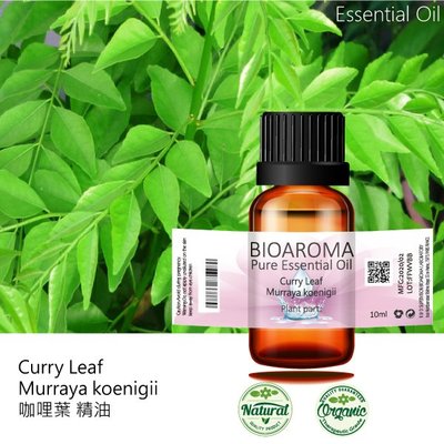 【芳香療網】咖哩葉精油Curry Leaf - Murraya koenigii 10ml