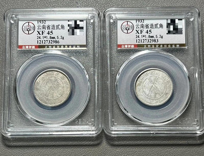 2024云南雙旗銀幣兩枚，特價
