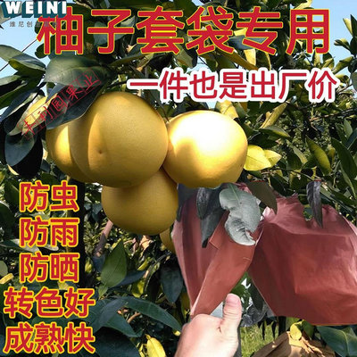 柚子套袋專用水果早熟紅黃紙袋三紅心蜜柚三層雙層防蟲防鳥保護袋-維尼創意家居