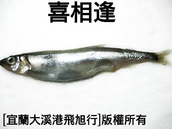 喜相逢 毛鱗魚 每500g130元 約25尾 Yahoo奇摩拍賣