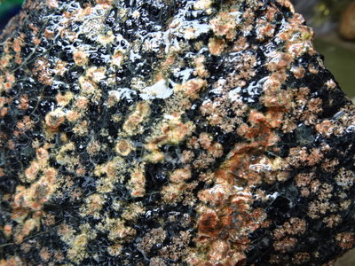 《藍晶寶石玉石特賣區》→〈原石系列〉→天然彩色雪花菊花紋黑珊瑚玉原礦〈1680公克〉→R72