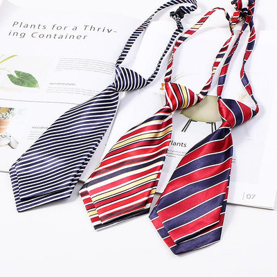 韓版學生領帶學院風工作銀行職業裝制服蝴蝶結雙層領結小領帶女士