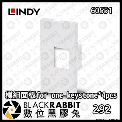數位黑膠兔【 LINDY 林帝 60551 模組面板for one keystone*4pcs 】