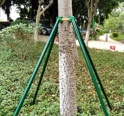 支撐器大樹支架廠家直銷 鍍鋅樹木支撐架 鋼管樹撐固定器 大樹支架抱箍支撐桿