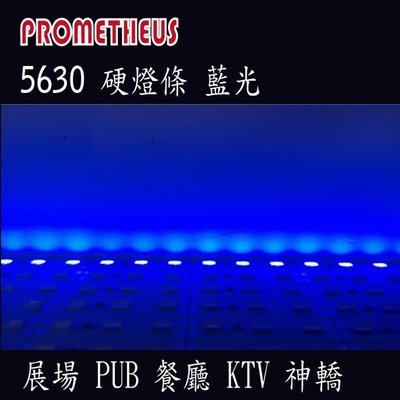 LED 5630硬燈條 36株 (50cm) 12V 450n 藍光 植物燈 KTV 酒吧 餐廳 汽車旅館 氣氛燈