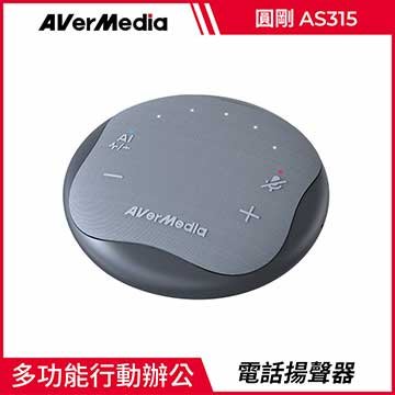 圓剛 AVerMedia AS315 智慧抗噪通話會議電話揚聲器【風和資訊】