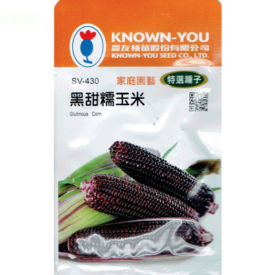 種子王國 黑甜糯玉米 Glutiyesus Corn(sv-430) 玉米  【蔬果種子】農友種苗特選種子 每包約10公克