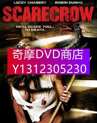 DVD專賣 2013年 電影 稻草人/Scarecrow