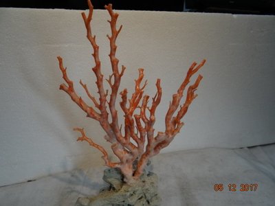 天然深海 粉紅珊瑚樹 擺件  收藏品 回饋價  分享