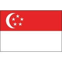 全新 新加坡 國旗 7號 4X6 船用 演唱會 球賽  Singapore flag 愛國 國家 收藏 紀念 旅遊