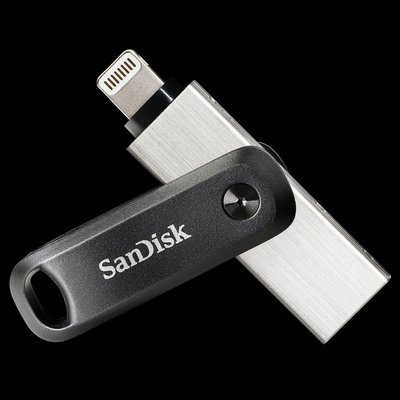 SUNLINK SANDISK iXpand™ Go 隨身碟 256GB 256G 原廠公司貨