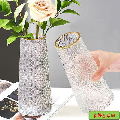 簡約創意透明玻璃花瓶桌面水養玫瑰鮮花瓶北歐ins風客廳插花擺件