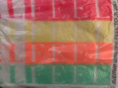 安室奈美惠 2013 Feel 演唱會 會員限定演唱會會場 購入 用過一次 彩色毛巾