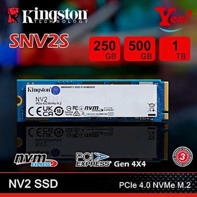 【Yes！公司貨】Kingston 金士頓 NV2 250G 250GB PCIe NVMe M.2 SSD 固態硬碟
