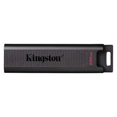 【台中自取】金士頓 Kingston DTMAX/256GB 256GB USB3.2 Gen2 Type-C 隨身碟 / 5年保固