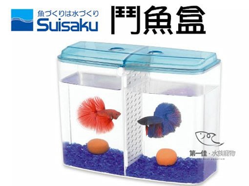 第一佳‧水族寵物日本水作SUISAKU鬥魚盒/鬥魚缸] (壓克力一體缸+壓克力上蓋)免運 | Yahoo奇摩拍賣