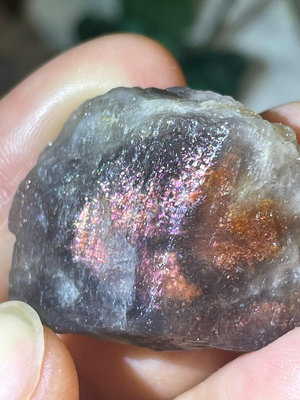 yj105黑加侖黑金太陽石原礦 產地坦桑尼亞 紅色彩色云母非 水晶 擺件 原石【天下奇物】3316