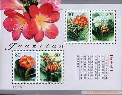 2000－24M君子蘭小全張郵票4863