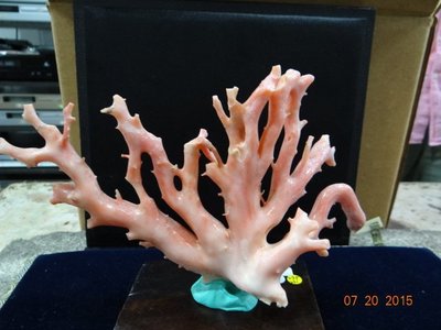 珊瑚-7 天然台灣深海粉紅珊瑚-7 整株重量:約227g 分享收藏！
