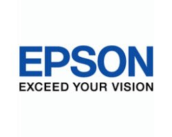 【葳狄線上GO】EPSON 177 黑色墨水匣 (列印張數：250張)