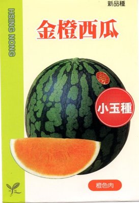 【野菜部屋~】R18 金橙小玉西瓜種子5公克 , 果肉橙色 , 產量高 , 每包150元 ~