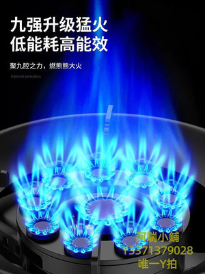 瓦斯爐一級能效煤氣灶雙灶燃氣灶家用十大品牌嵌入式天然氣爐臺式液化氣
