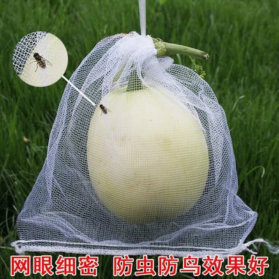 促銷打折 葡萄套袋水果套袋防鳥網袋防蟲瓜果蔬菜防蟲袋塑料白色網袋浸種袋