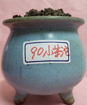 [洪聲普洱茶] (30g/份) 特價  90年代 老茶頭 (小顆的) 熟普