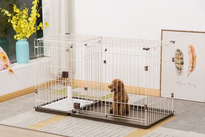 【現貨】狗籠子室內中型帶廁所加粗寵物圍欄雙房隔離門泰迪小型犬家用別墅