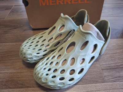 4 橄欖綠配色水陸兩用快乾戶外運動涼鞋洞洞鞋 Merrell hydro moc us12 30cm 全新正品公司貨