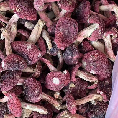 野生紅菇紅蘑菇幹貨紅菌幹貨滋補月子菇產地批發價2斤裝包郵