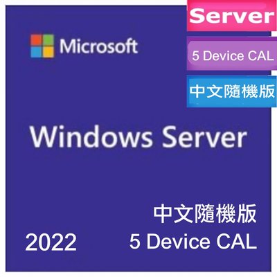 Microsoft 微軟 Win 2022 Standard 5CAL 5 Device CAL 繁中隨機版