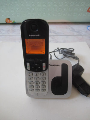 Panasonic國際牌 DECT 數位無線電話KX-TGC210TW
