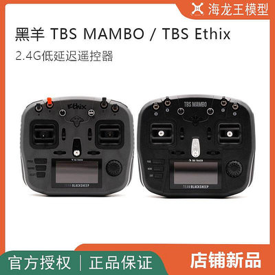 眾誠優品 2021 新款黑羊TBS MAMBO TBS Ethix聯名款2.4G 250HZ 高刷遙控器 DJ836