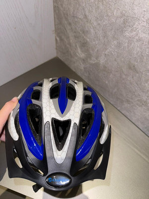 二手~捷安特自行車安全帽頭盔~標價為1個價格(共有2個)