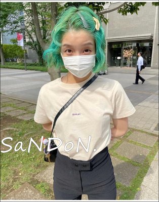 SaNDoN x『BEAMS』經典LOGO小刺繡短TEE SLY UNGRID 220530