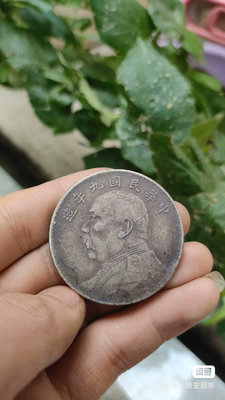 #袁大頭 銀元一枚，保真銀可翻面，重量26.9克，1838