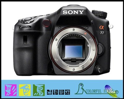 彩色鳥 (租 鏡頭 相機) SONY A77 + SONY DT 11-18mm F4.5-5.6