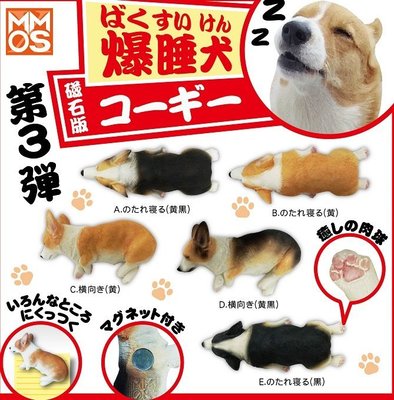 【奇蹟@蛋】XMMOS (盒玩)爆睡犬3柯基-磁石篇 全5種 整套販售
