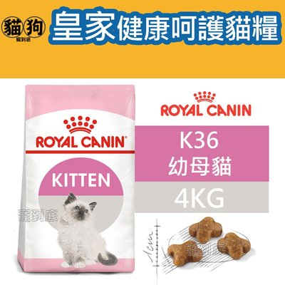 寵到底-ROYAL CANIN法國皇家FHN健康呵護貓系列【K36幼母貓】4公斤