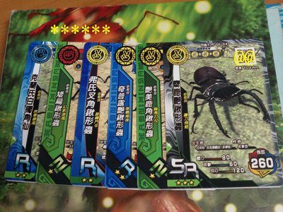 新甲蟲王者~綜合甲蟲卡共6張(無重覆)