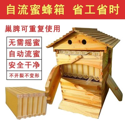 現貨熱銷-養蜜蜂箱自流蜜蜂箱全套帶自動流蜜裝置塑料巢脾烘干煮蠟杉木巢箱~特價