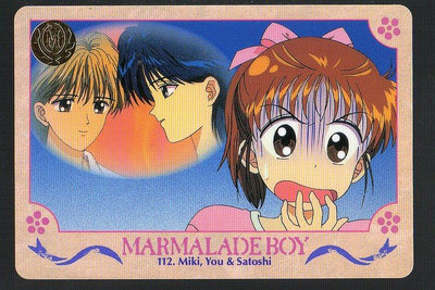 《CardTube卡族》(060930) 112 日本原裝橘子醬男孩 PP萬變卡∼ 1995年遊戲普卡