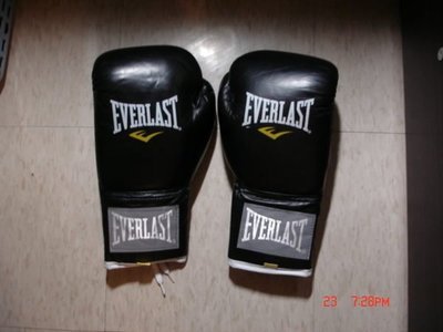 Everlast 拳擊手套。10OZ。