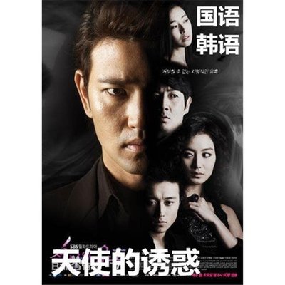 天使的誘惑DVD韓劇經典國語/韓語中文字幕高清版光盤碟~特價