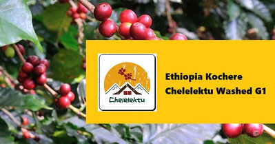 生豆✨5KG｜衣索比亞 科契爾 雪冽圖 水洗 G1｜咖啡生豆 COFFEE BEAN